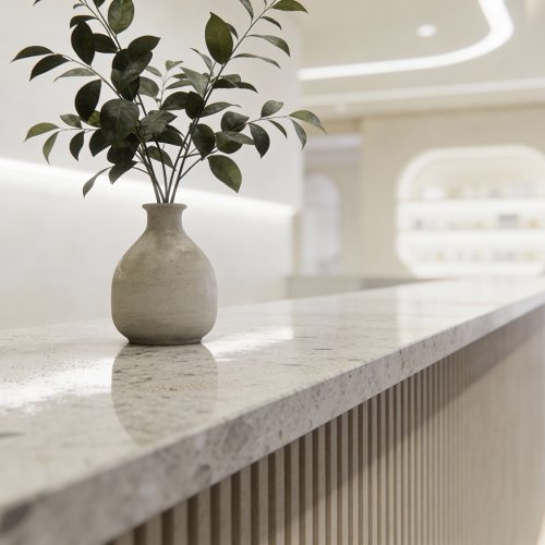 Modern cosmetic clinic reception area with a plant on the counte
