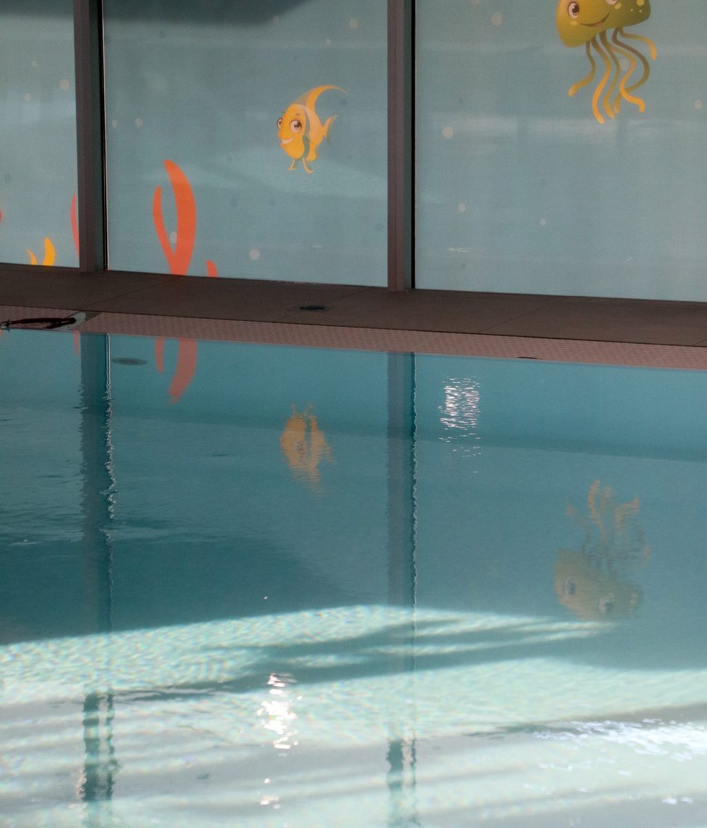 c55bce58-0db4-4377-ba31-72016980757d-copied-media~2